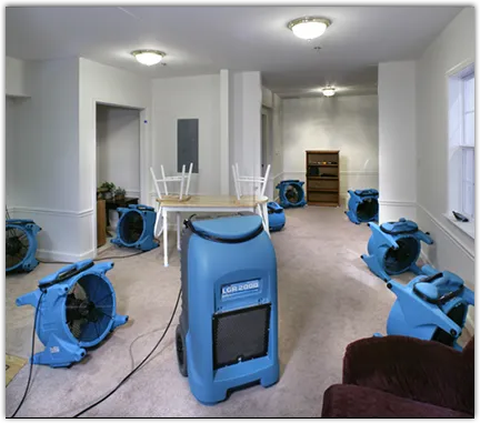 Water Mitigation Services in Kalkaska, MI