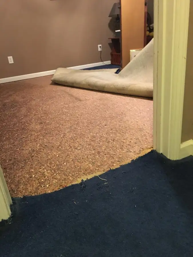 Carpet pad removal revealing water damage during Water Mitigation Services in Kalkaska