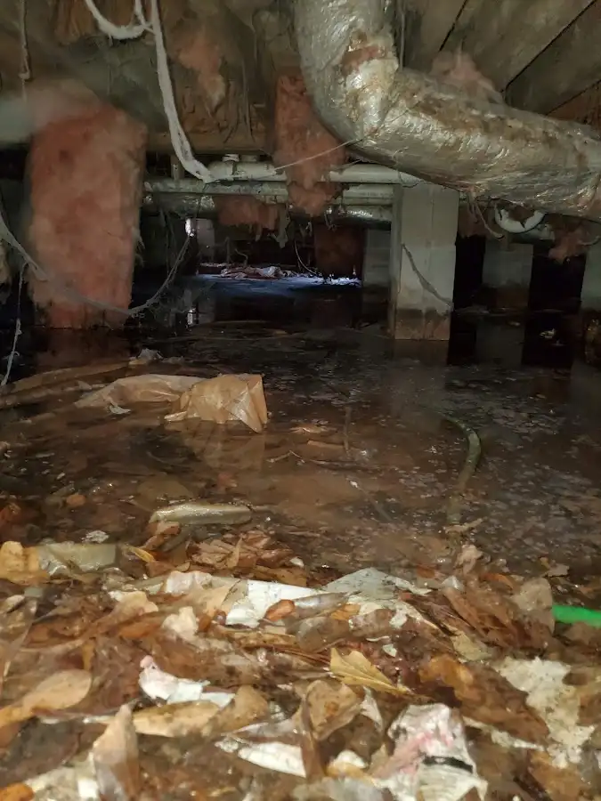 Crawl space flood assessment for Commercial Water Damage Restoration in Kalkaska