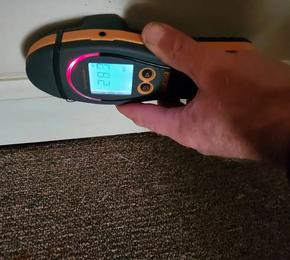 Moisture detection at baseboard during Sewage Cleanup & Sanitation in Kalkaska